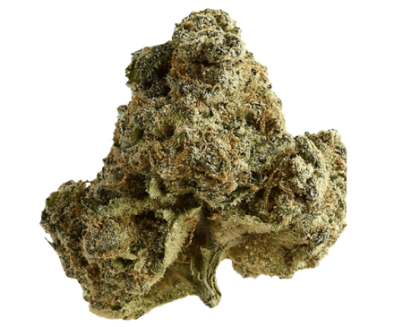 durban poison strain