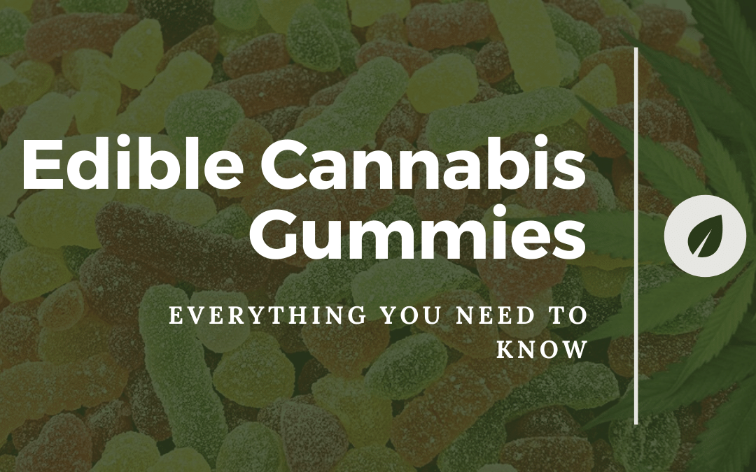 Edible Cannabis Gummies: Everything You Need to Know