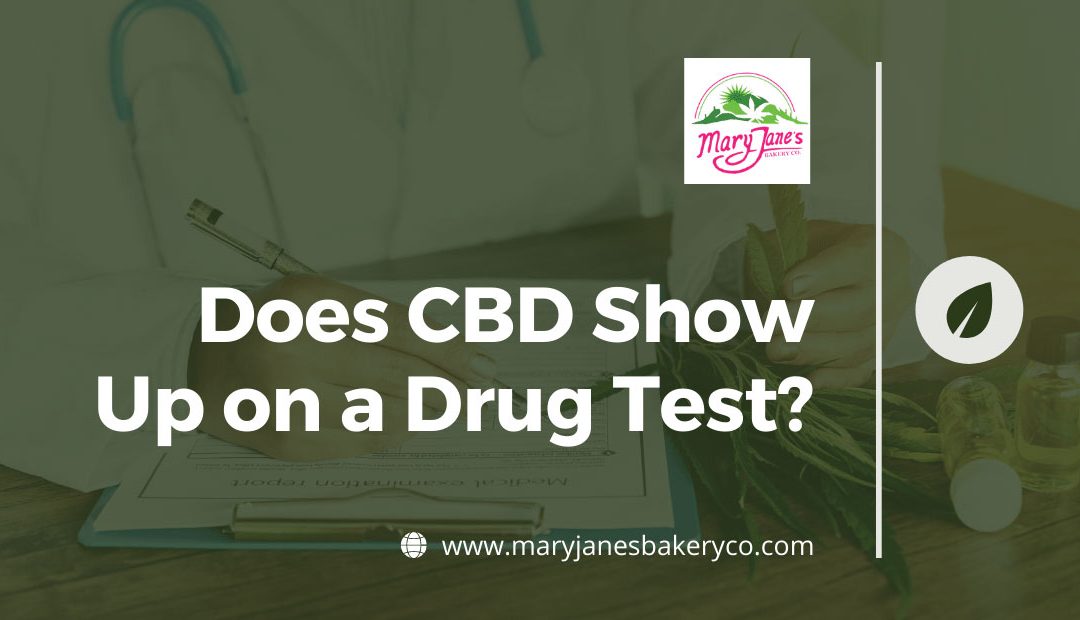 Does CBD Show Up on a Drug Test
