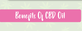 How Can CBD Oil Help With Pain Management