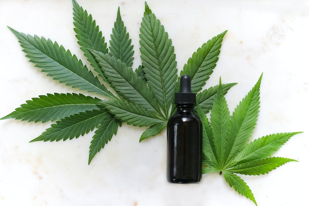 CBD oil bottle over cannabis leaves