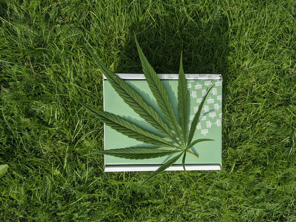 Delta-8 vs Delta-9 vs CBD comparison guide 2025 showing cannabis leaves and hemp oil bottles