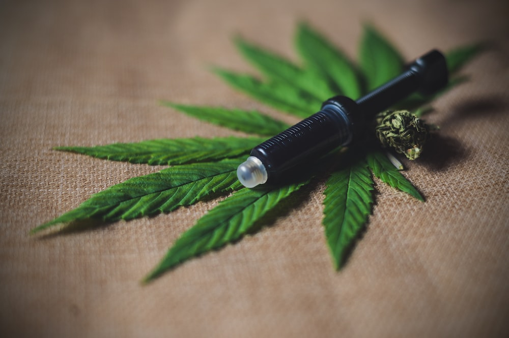 CBD vape pen on cannabis leaves