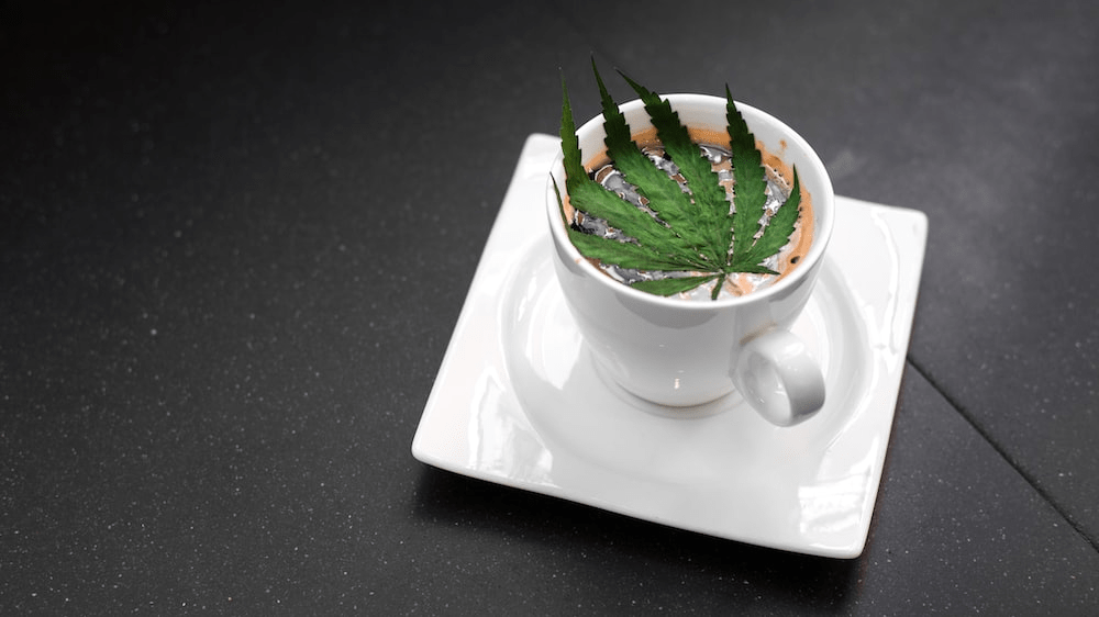 A weed leaf in a teacup