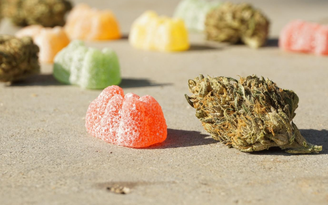 The best CBD edibles and gummies