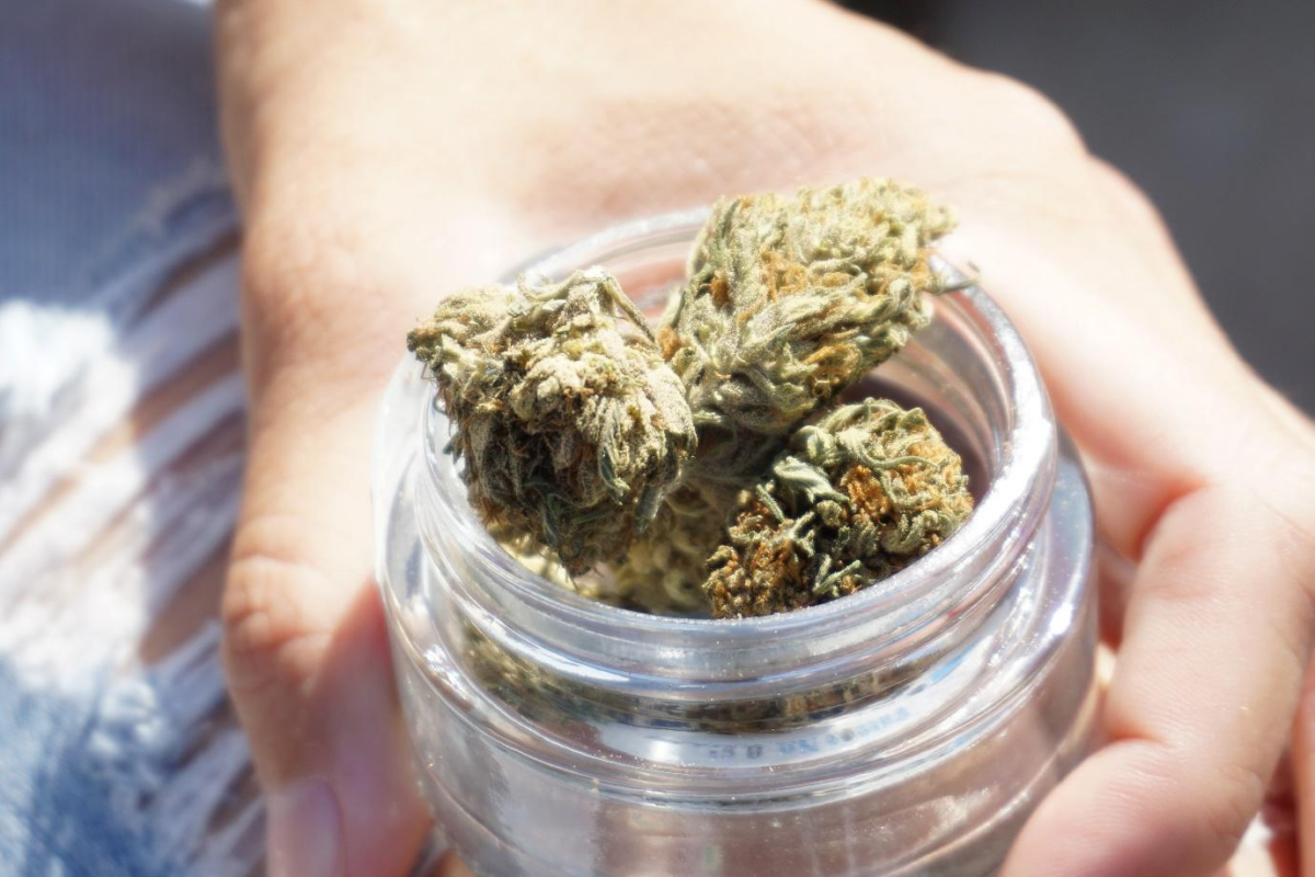 A person holding a jar of hemp flowers 