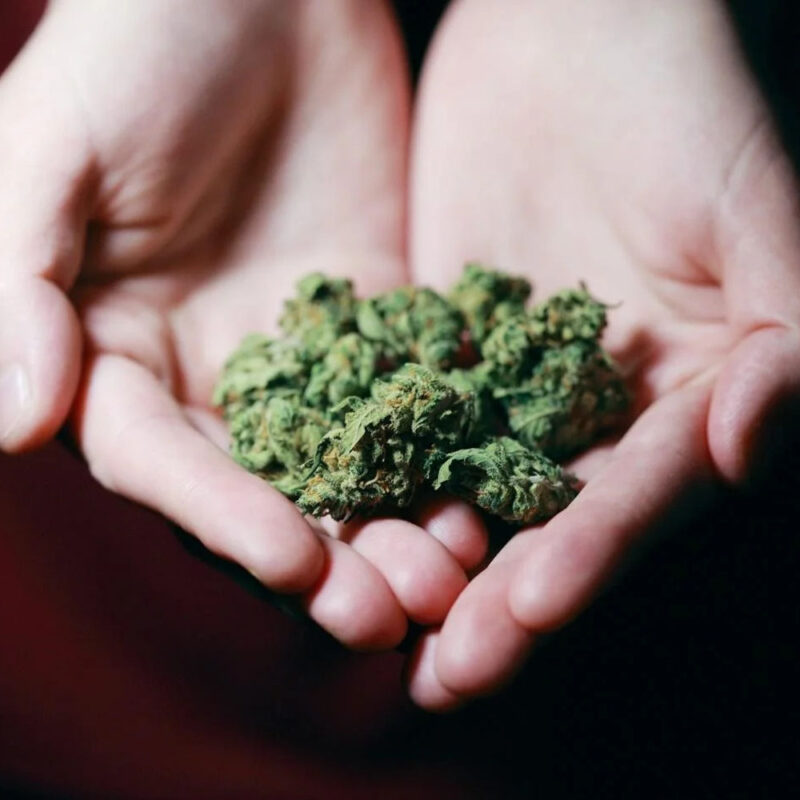 delta 8 thc flower , CBD FLOWER