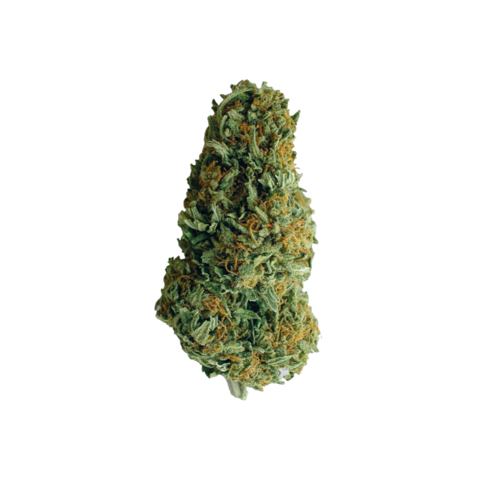 close-up of Gorilla Glue cannabis buds comparing GG4 vs GG5 strains